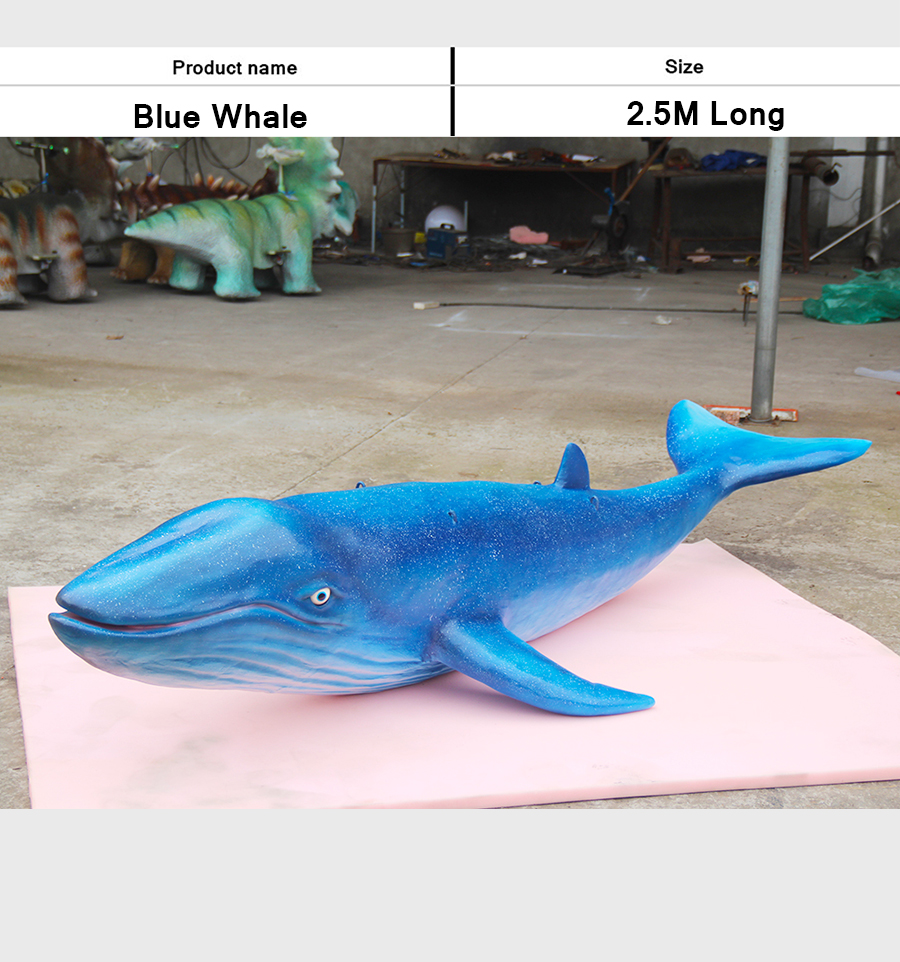 蓝鲸2.5米